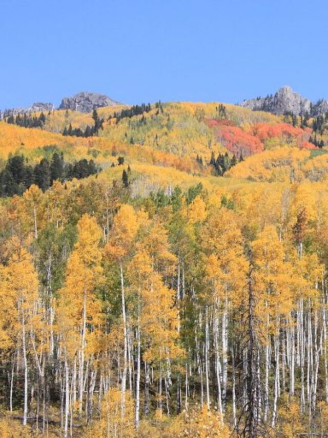 Visit 10 These Gorgeous Postcard Places In Colorado USA